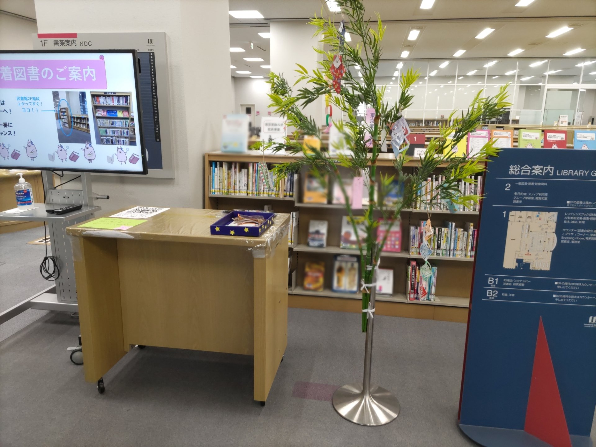 飾り付け班　笹