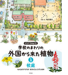校庭